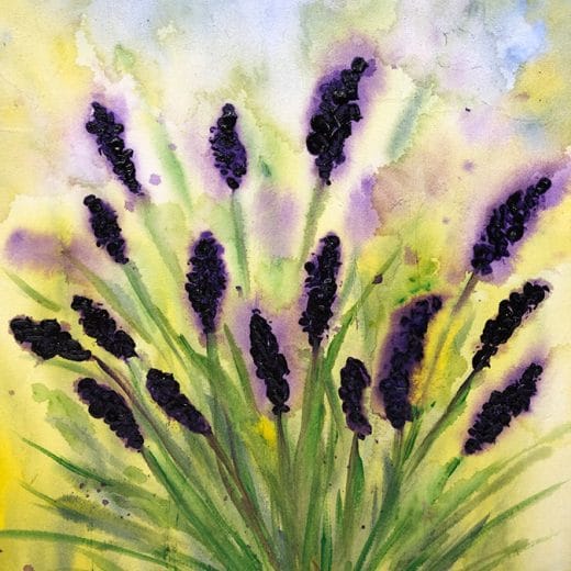 Lavender Fields - 9" x 12"